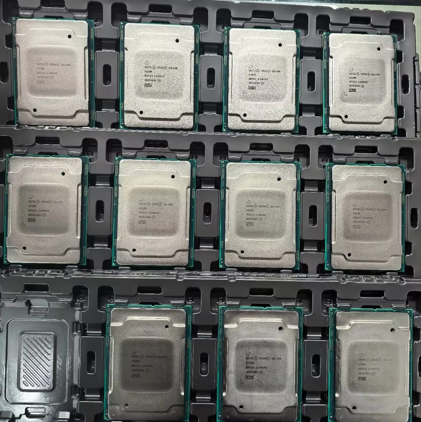 Intel Xeon Silver 4210R Processors